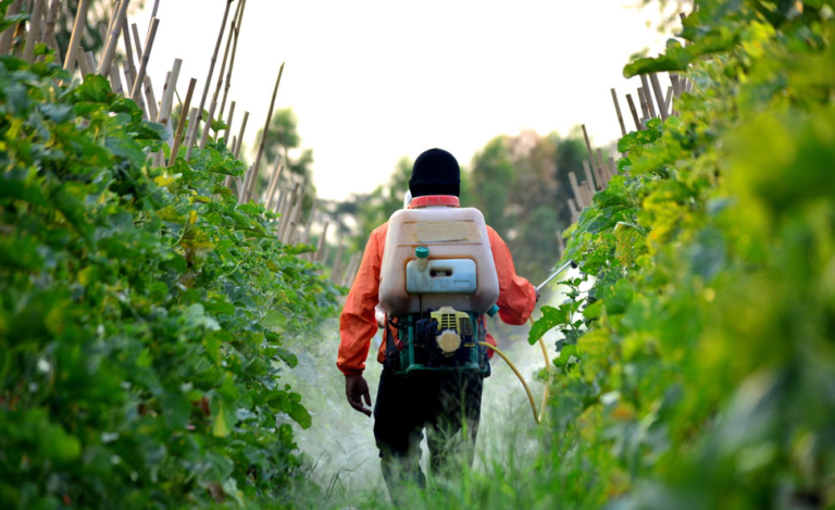 Homme-champs-agriculture-glyphosate-img