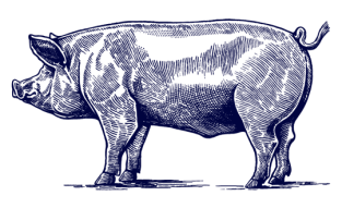 Image3-min (1)