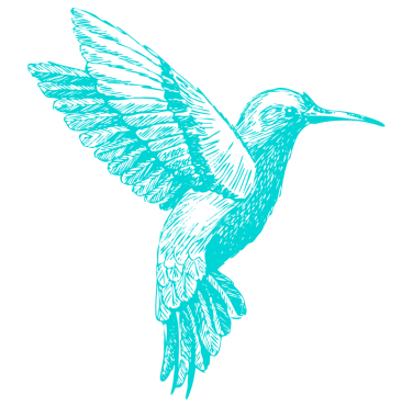 colibri cyan